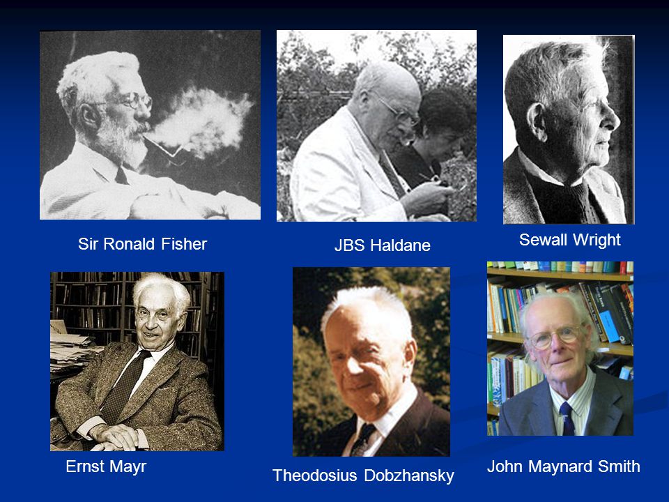 Sir Ronald Fisher Sewall Wright JBS Haldane Ernst Mayr John Maynard Smith Theodosius Dobzhansky