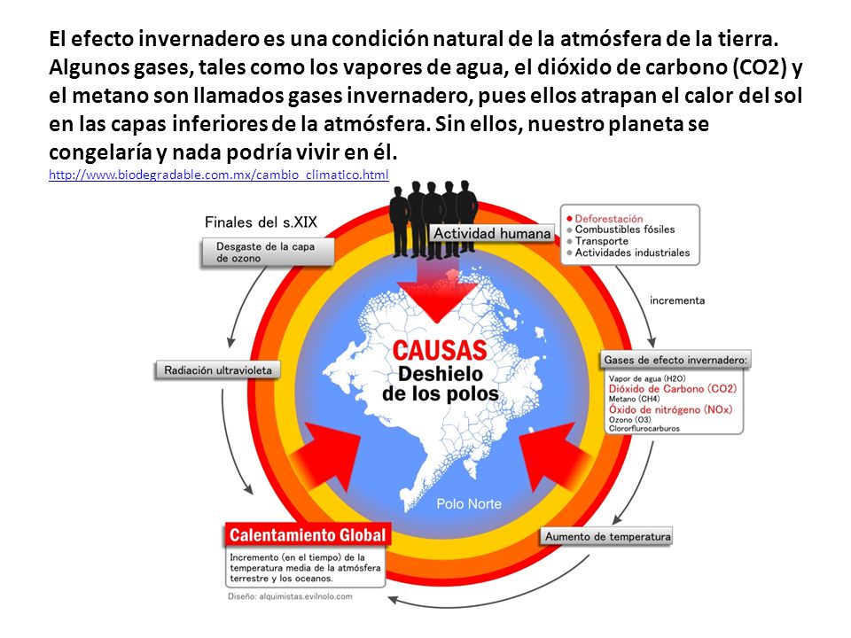 El efecto invernadero es una condición natural de la atmósfera de la tierra. Algunos gases, tales como los vapores de agua, el dióxido de carbono (CO2) y el metano son llamados gases invernadero, pues ellos atrapan el calor del sol en las capas inferiores de la atmósfera. Sin ellos, nuestro planeta se congelaría y nada podría vivir en él.