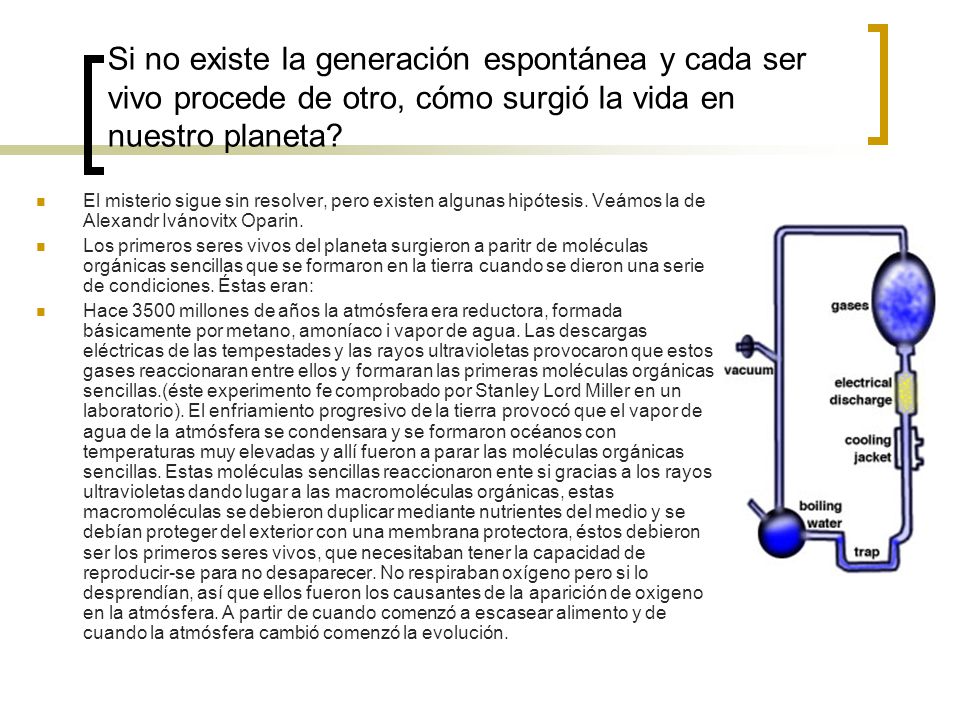 Si no existe la generación espontánea y cada ser vivo procede de otro, cómo surgió la vida en nuestro planeta