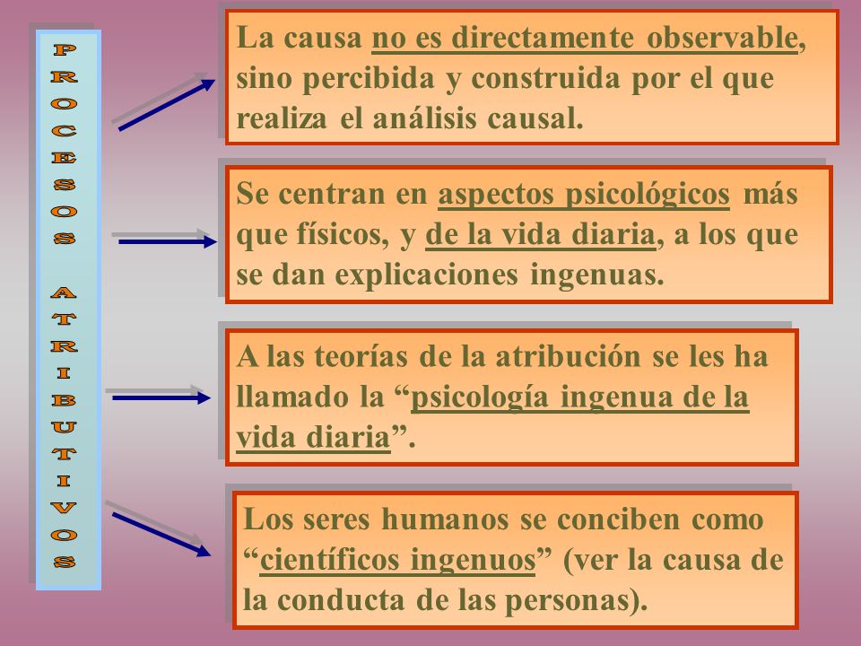 La causa no es directamente observable, sino percibida y construida por el que realiza el análisis causal.