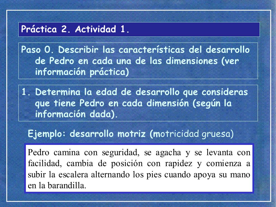 Práctica 2. Actividad 1. Paso 0. Describir las características del desarrollo de Pedro en cada una de las dimensiones (ver información práctica)