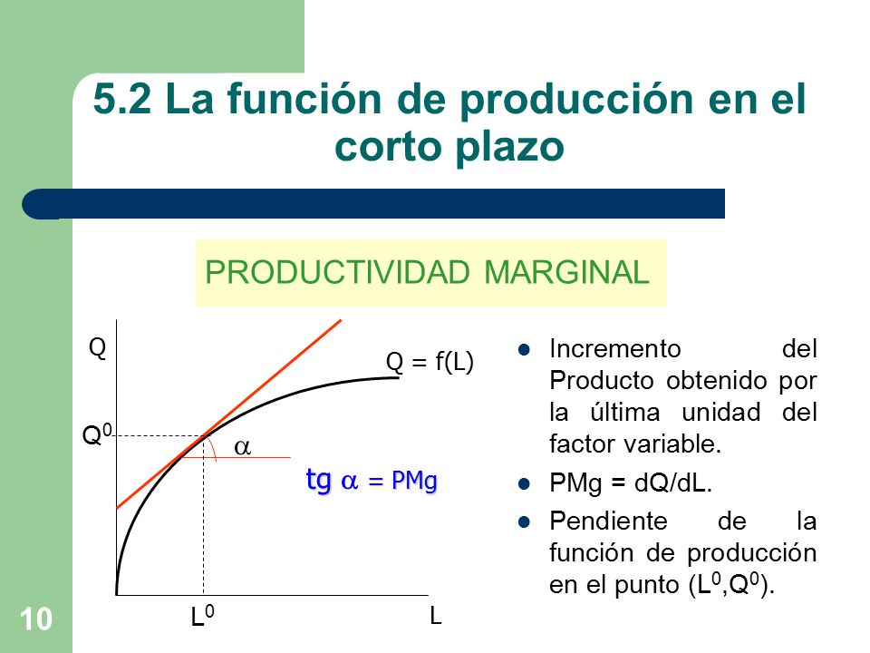 5.2 La función de producción en el corto plazo