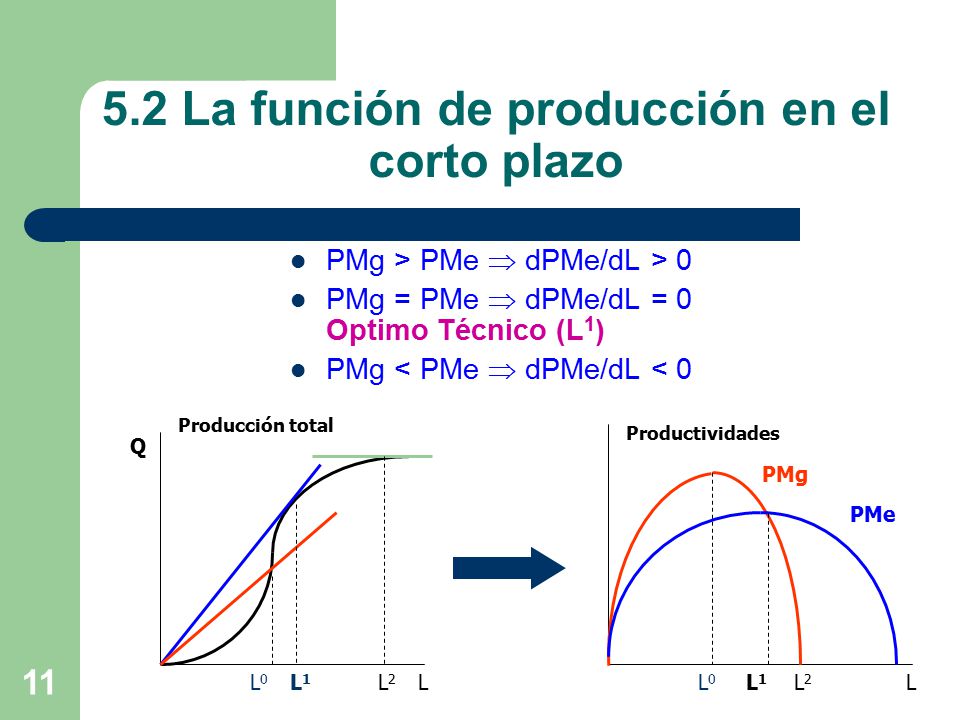 5.2 La función de producción en el corto plazo