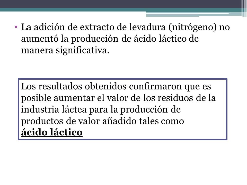 La adición de extracto de levadura (nitrógeno) no aumentó la producción de ácido láctico de manera significativa.