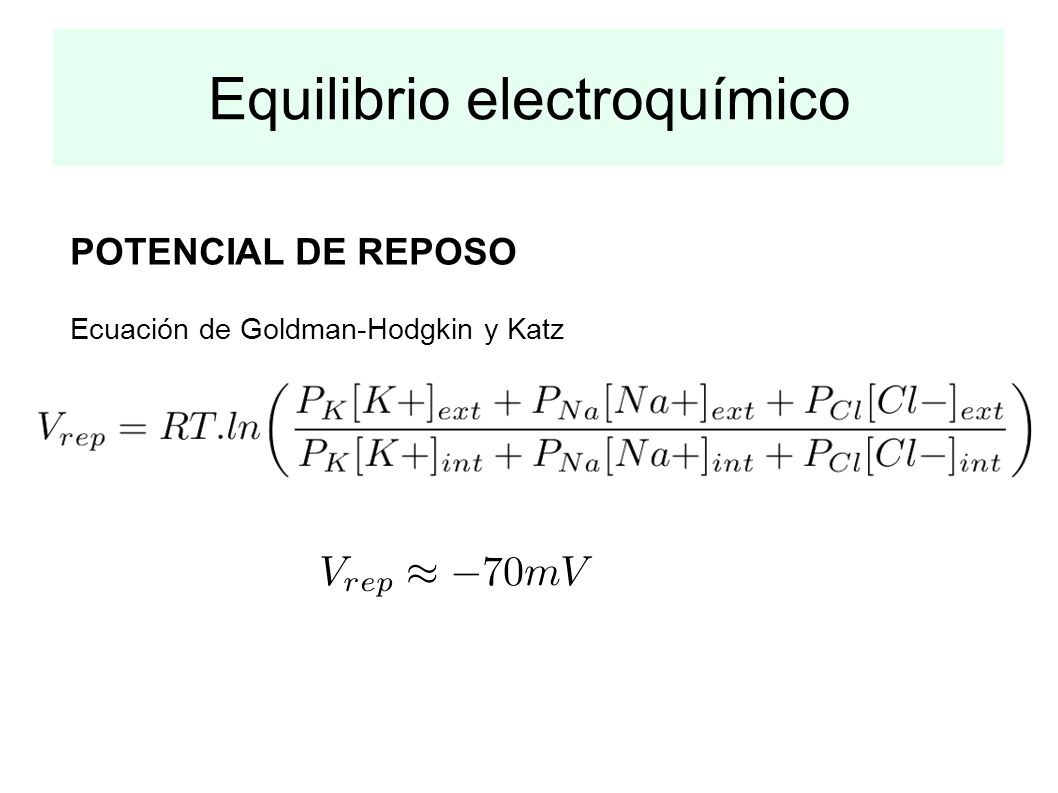 Equilibrio electroquímico