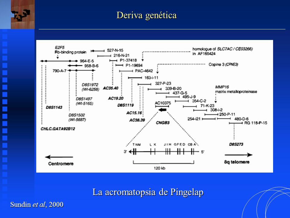 La acromatopsia de Pingelap