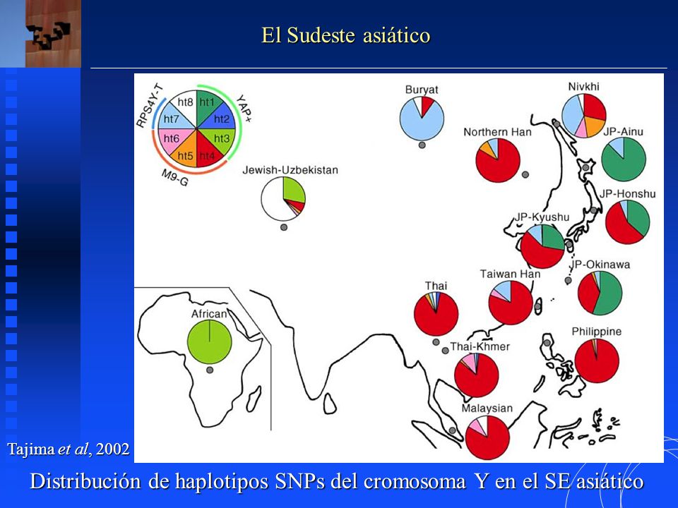 Distribución de haplotipos SNPs del cromosoma Y en el SE asiático