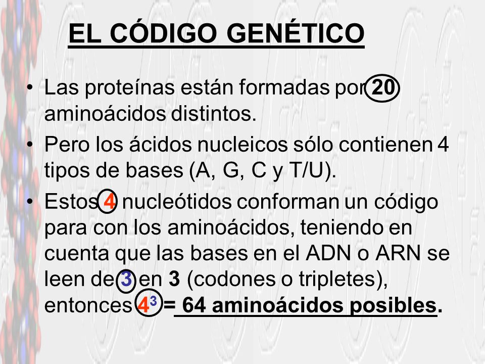 EL CÓDIGO GENÉTICO Las proteínas están formadas por 20 aminoácidos distintos.