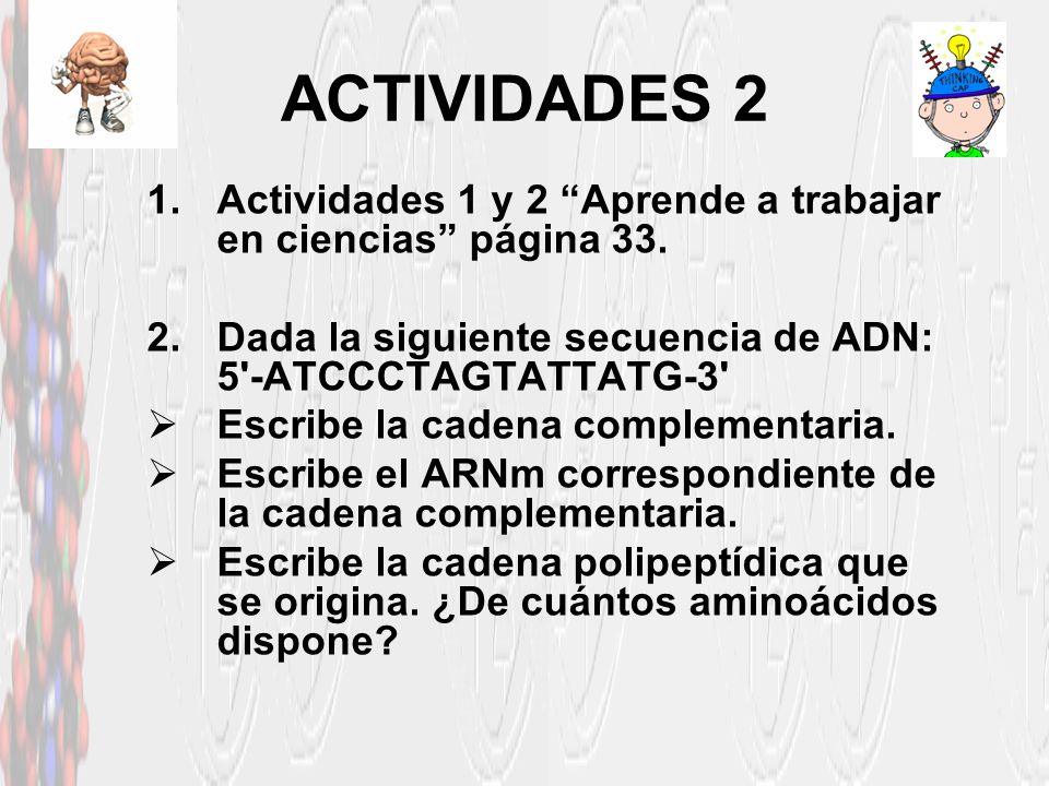 ACTIVIDADES 2 Actividades 1 y 2 Aprende a trabajar en ciencias página 33. Dada la siguiente secuencia de ADN: 5 -ATCCCTAGTATTATG-3