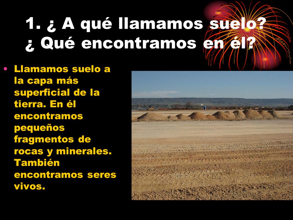 1. ¿ A qué llamamos suelo ¿ Qué encontramos en él