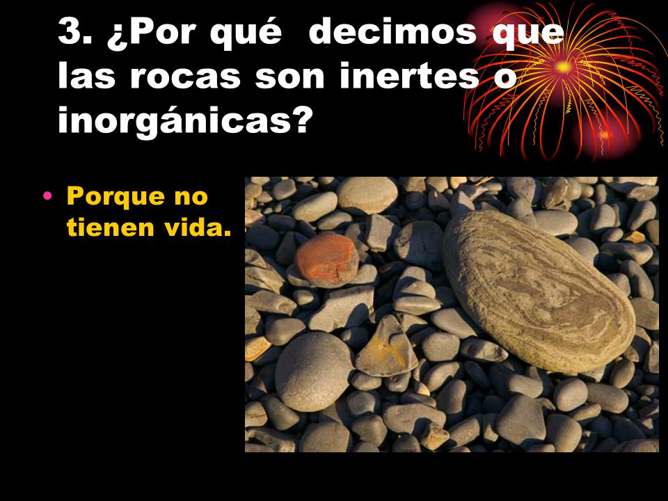 3. ¿Por qué decimos que las rocas son inertes o inorgánicas