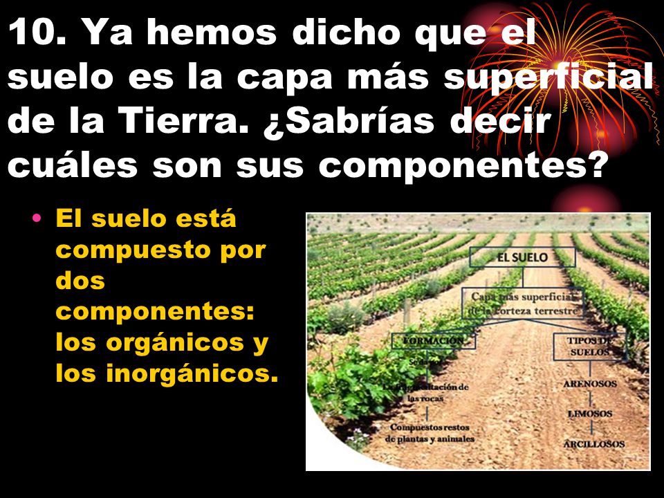 10. Ya hemos dicho que el suelo es la capa más superficial de la Tierra. ¿Sabrías decir cuáles son sus componentes