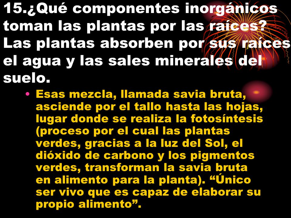 15. ¿Qué componentes inorgánicos toman las plantas por las raíces