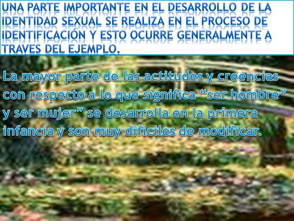 Una parte importante en el desarrollo de la identidad sexual se realiza en el proceso de identificación y esto ocurre generalmente a traves del ejemplo.