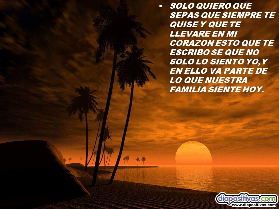 SOLO QUIERO QUE SEPAS QUE SIEMPRE TE QUISE Y QUE TE LLEVARE EN MI CORAZON ESTO QUE TE ESCRIBO SE QUE NO SOLO LO SIENTO YO,Y EN ELLO VA PARTE DE LO QUE NUESTRA FAMILIA SIENTE HOY.