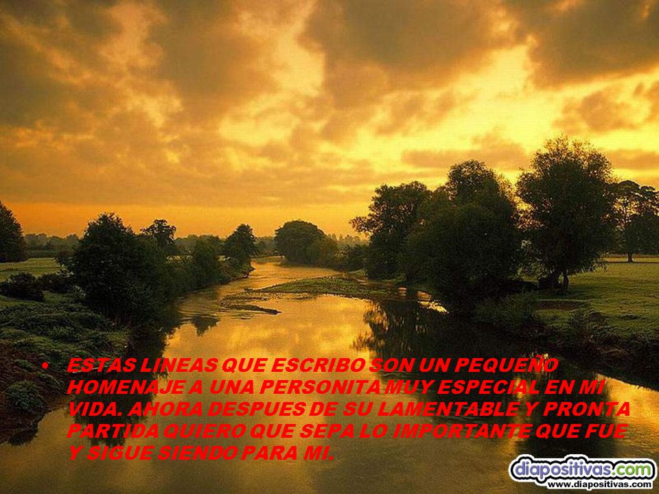 ESTAS LINEAS QUE ESCRIBO SON UN PEQUEÑO HOMENAJE A UNA PERSONITA MUY ESPECIAL EN MI VIDA.