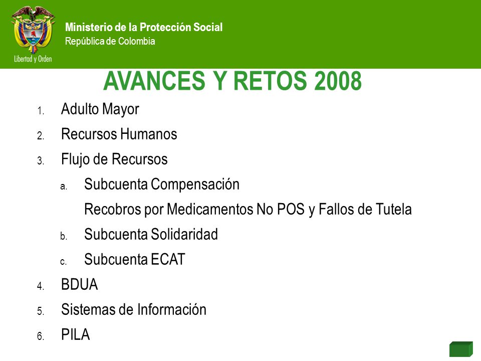 AVANCES Y RETOS 2008 Adulto Mayor Recursos Humanos Flujo de Recursos
