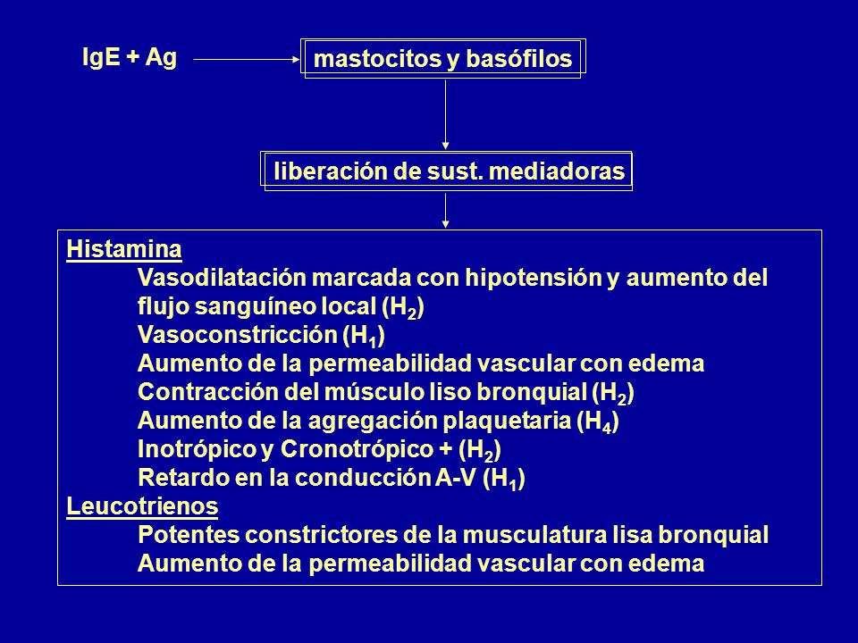 IgE + Ag mastocitos y basófilos. liberación de sust. mediadoras. Histamina.