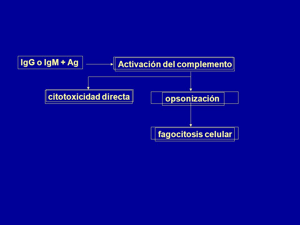 IgG o IgM + Ag Activación del complemento opsonización citotoxicidad directa fagocitosis celular