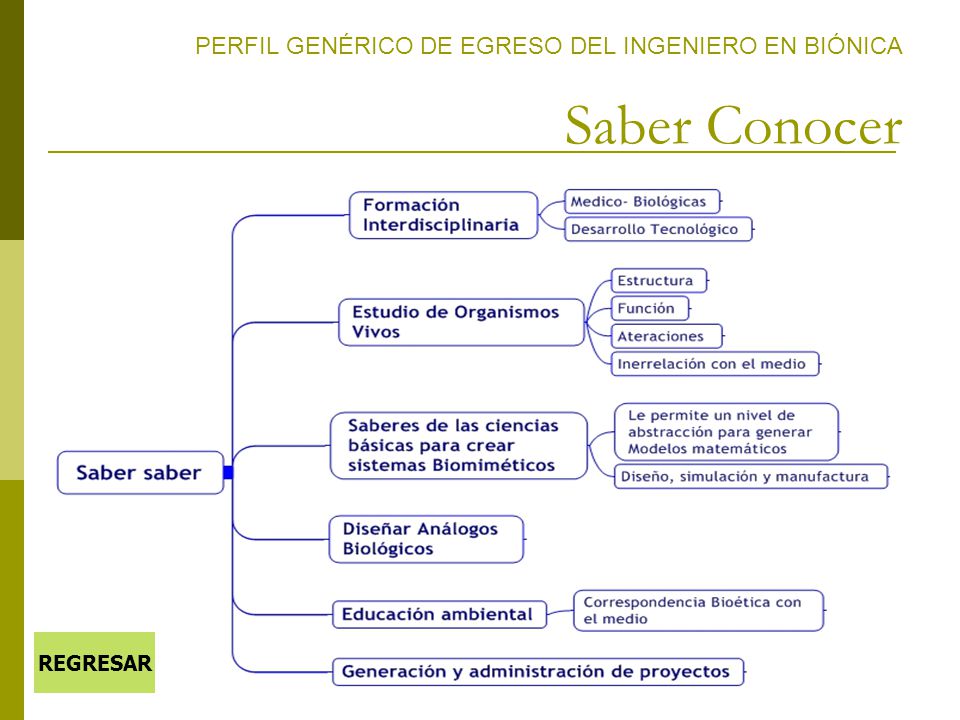 PERFIL GENÉRICO DE EGRESO DEL INGENIERO EN BIÓNICA Saber Conocer