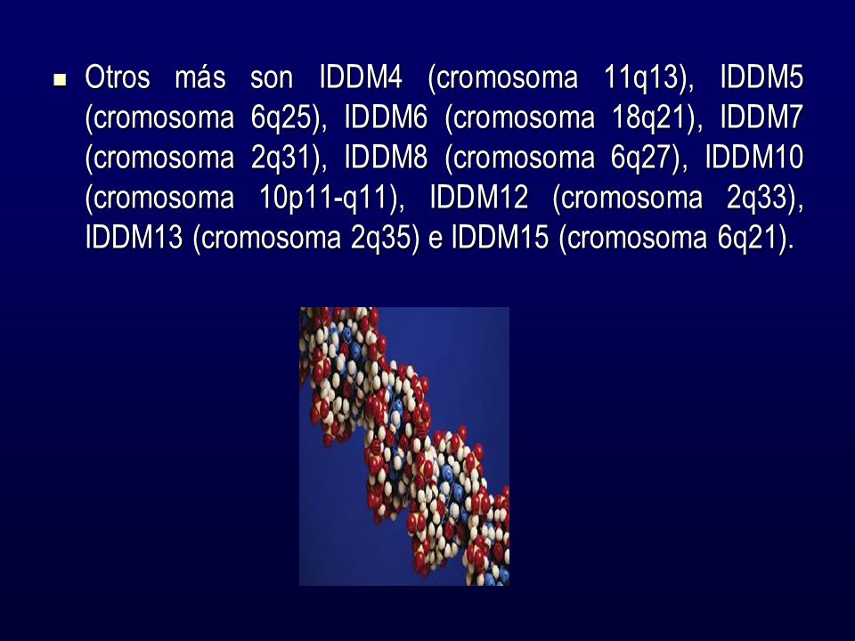Otros más son IDDM4 (cromosoma 11q13), IDDM5 (cromosoma 6q25), IDDM6 (cromosoma 18q21), IDDM7 (cromosoma 2q31), IDDM8 (cromosoma 6q27), IDDM10 (cromosoma 10p11-q11), IDDM12 (cromosoma 2q33), IDDM13 (cromosoma 2q35) e IDDM15 (cromosoma 6q21).