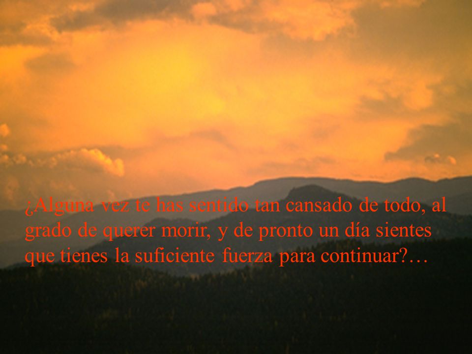 ¿Alguna vez te has sentido tan cansado de todo, al grado de querer morir, y de pronto un día sientes que tienes la suficiente fuerza para continuar …