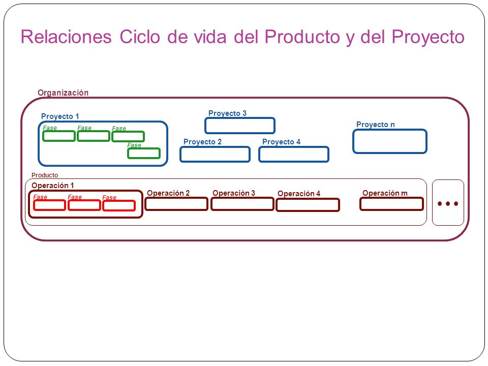 Relaciones Ciclo de vida del Producto y del Proyecto