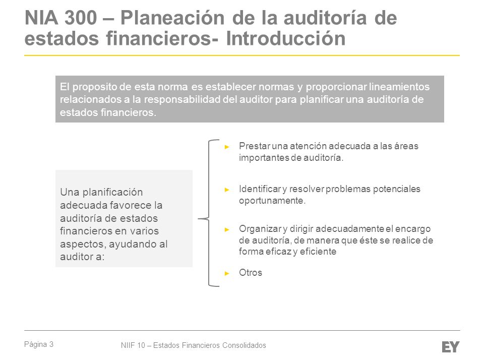 NIA 300 – Planeación de la auditoría de estados financieros- Introducción