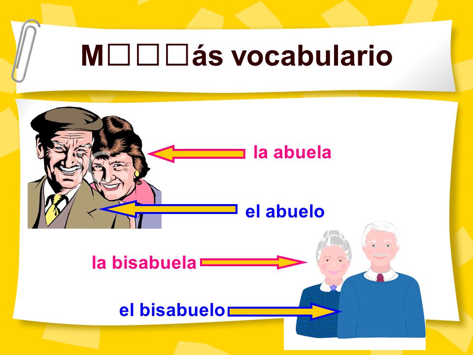 Más vocabulario la abuela el abuelo la bisabuela el bisabuelo