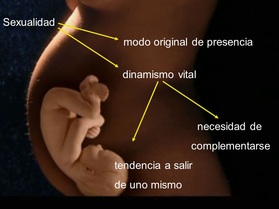 Sexualidad modo original de presencia. dinamismo vital. necesidad de. complementarse. tendencia a salir.