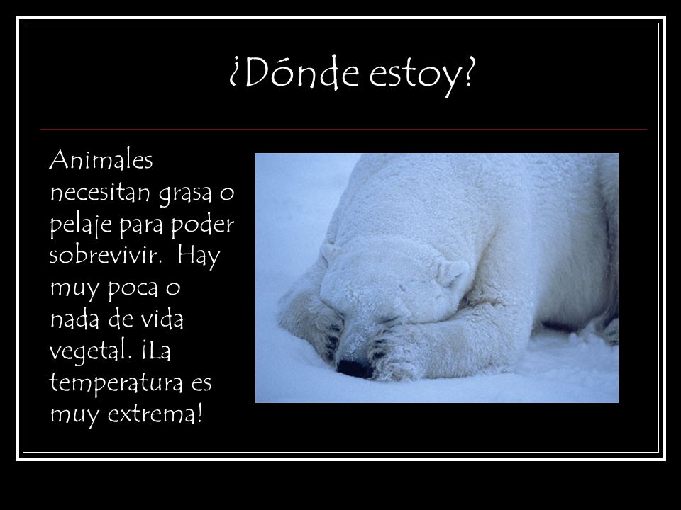 ¿Dónde estoy. Animales necesitan grasa o pelaje para poder sobrevivir.