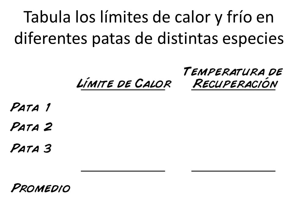 Tabula los límites de calor y frío en diferentes patas de distintas especies