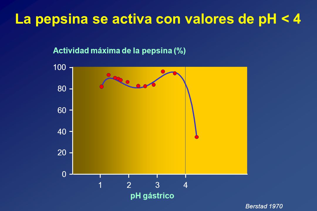La pepsina se activa con valores de pH < 4