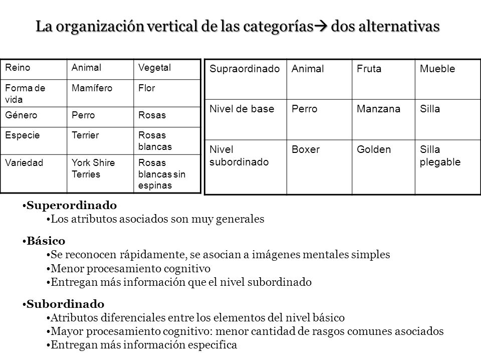 La organización vertical de las categorías dos alternativas