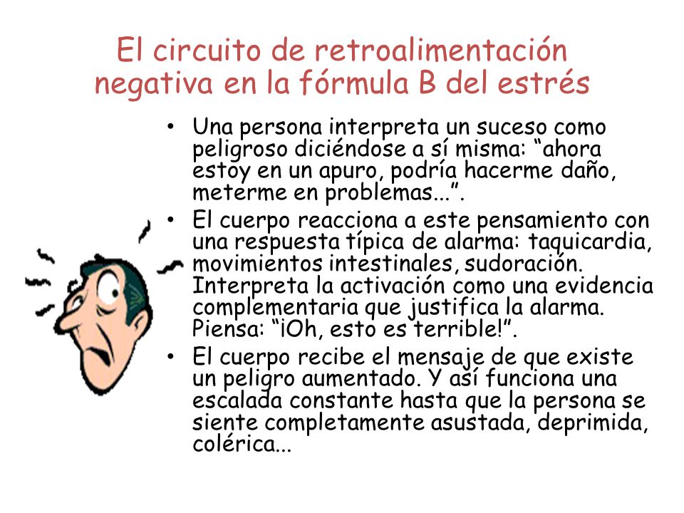 El circuito de retroalimentación negativa en la fórmula B del estrés