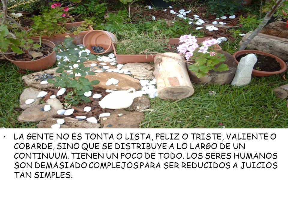 LA GENTE NO ES TONTA O LISTA, FELIZ O TRISTE, VALIENTE O COBARDE, SINO QUE SE DISTRIBUYE A LO LARGO DE UN CONTINUUM.