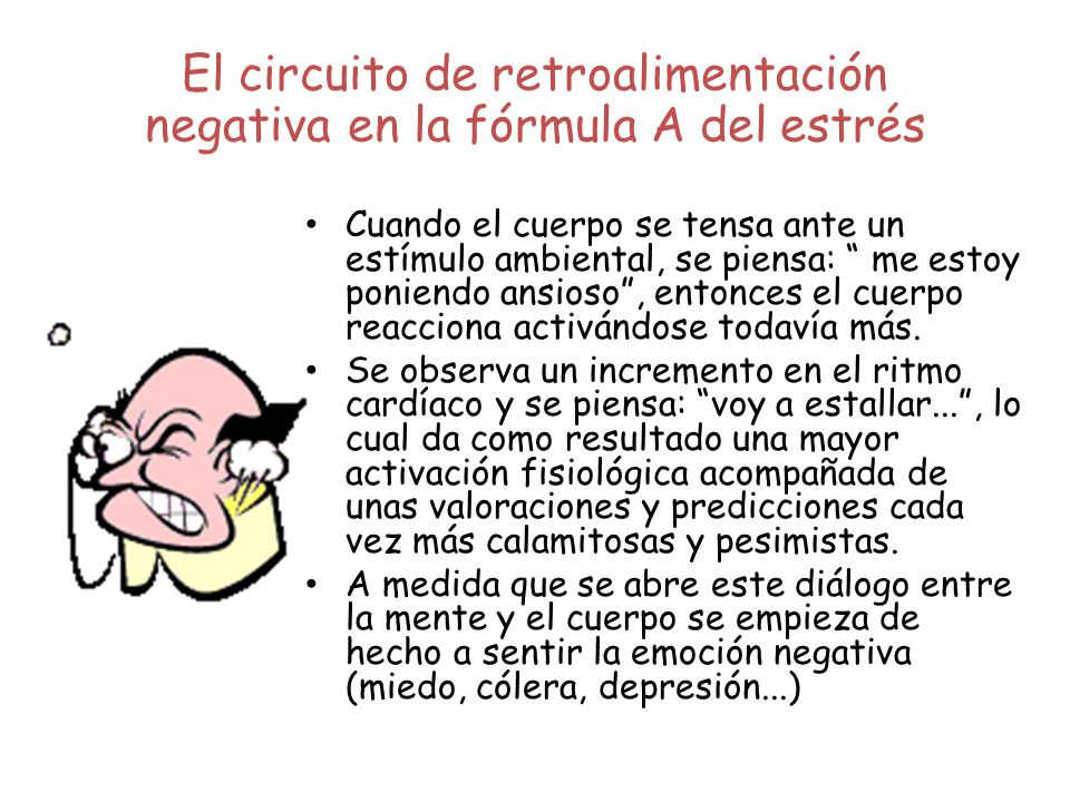 El circuito de retroalimentación negativa en la fórmula A del estrés