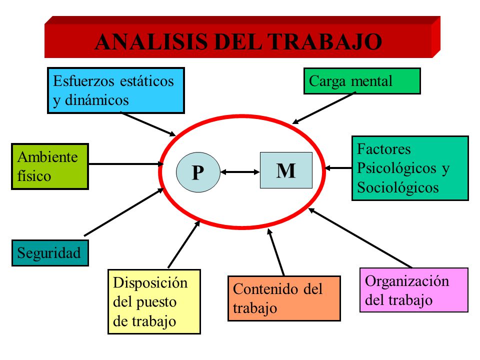 ANALISIS DEL TRABAJO P M Esfuerzos estáticos y dinámicos Carga mental