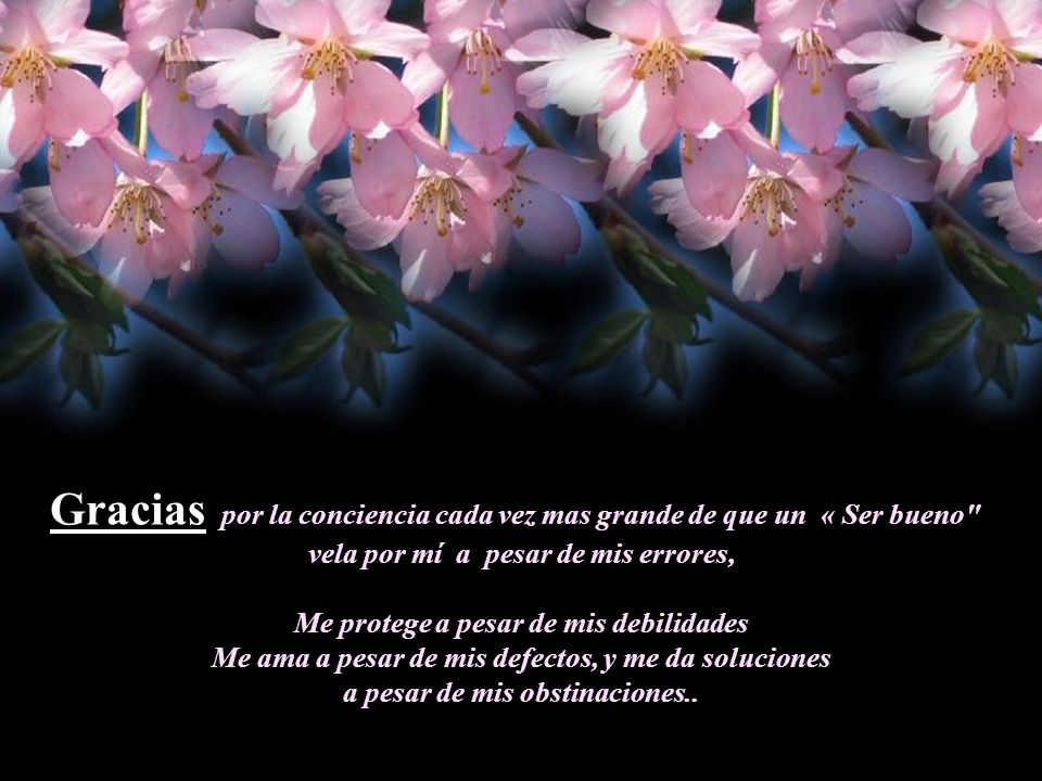 Gracias por la conciencia cada vez mas grande de que un « Ser bueno