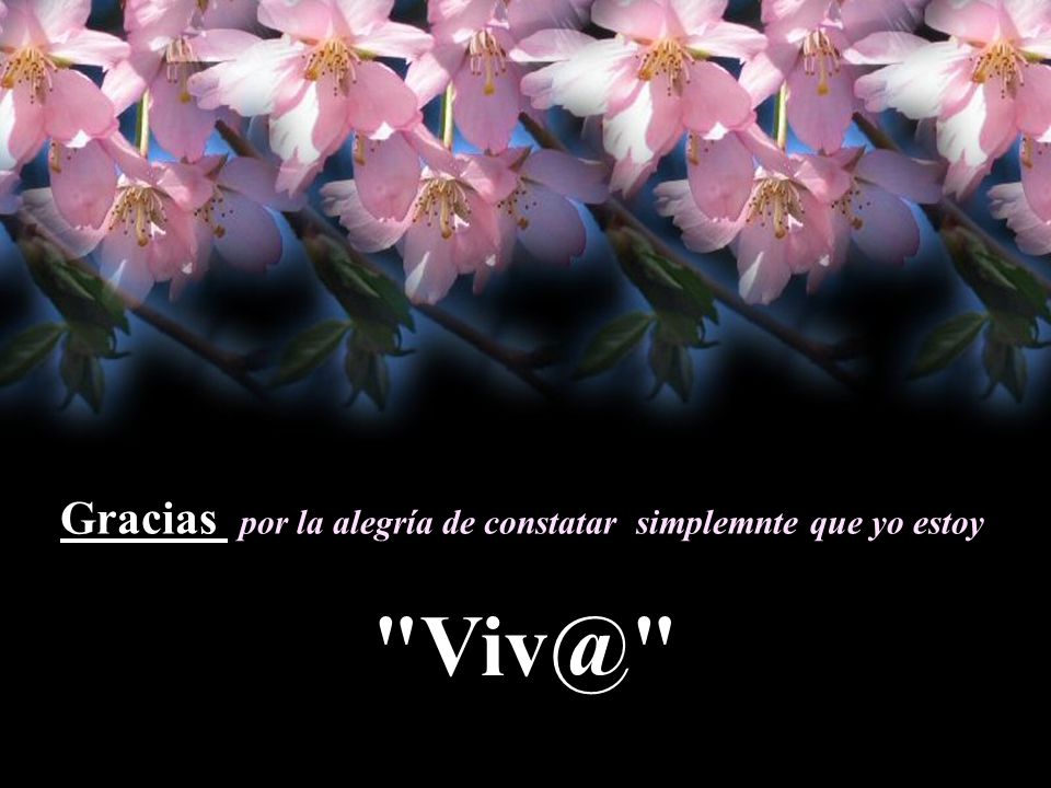 Gracias por la alegría de constatar simplemnte que yo estoy