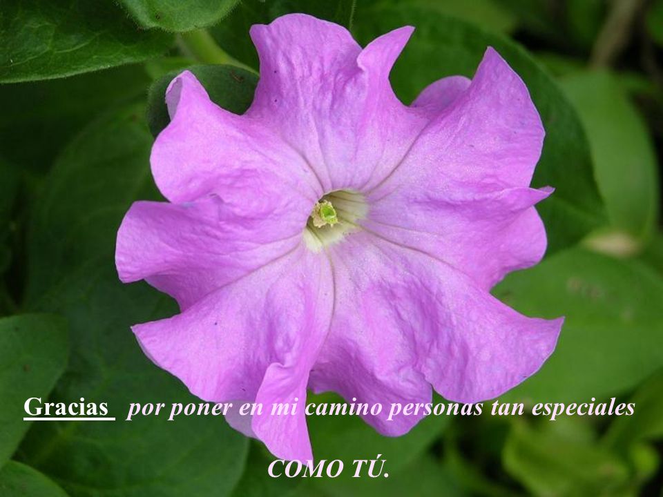Gracias por poner en mi camino personas tan especiales