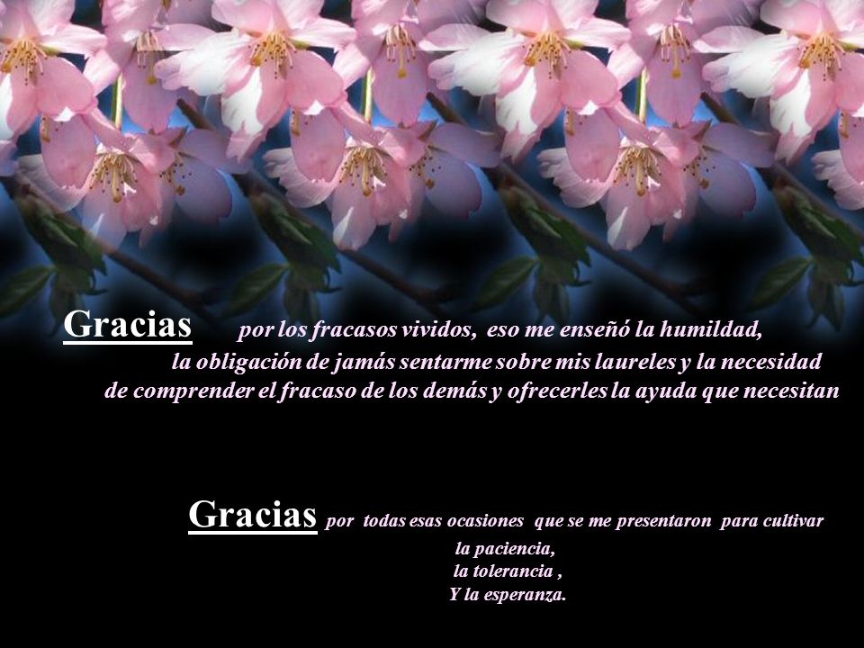 Gracias por los fracasos vividos, eso me enseñó la humildad,