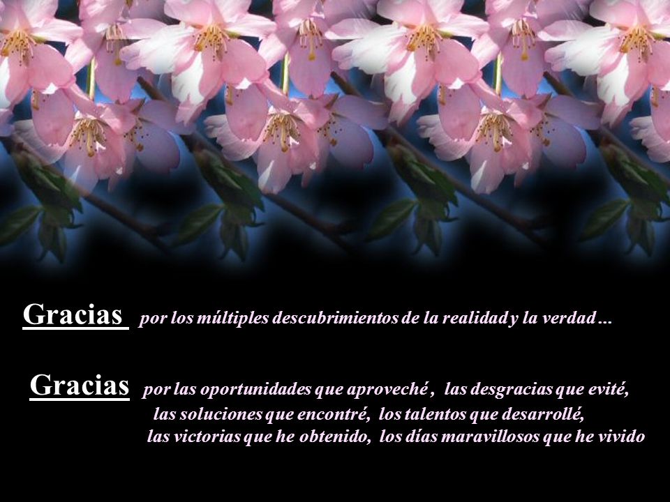 Gracias por los múltiples descubrimientos de la realidad y la verdad ...