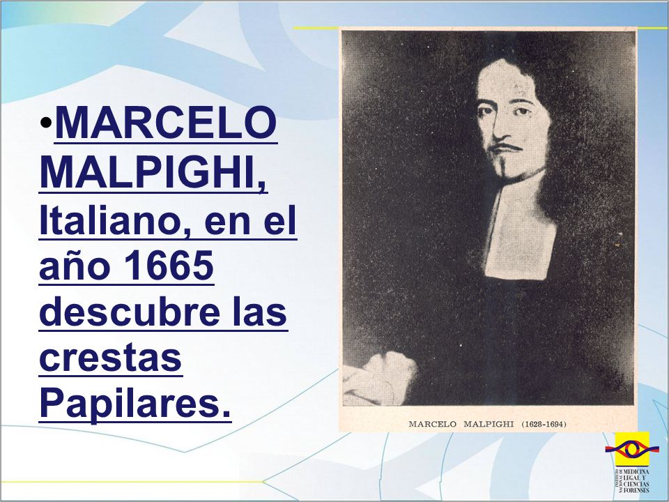MARCELO MALPIGHI, Italiano, en el año 1665 descubre las crestas Papilares.