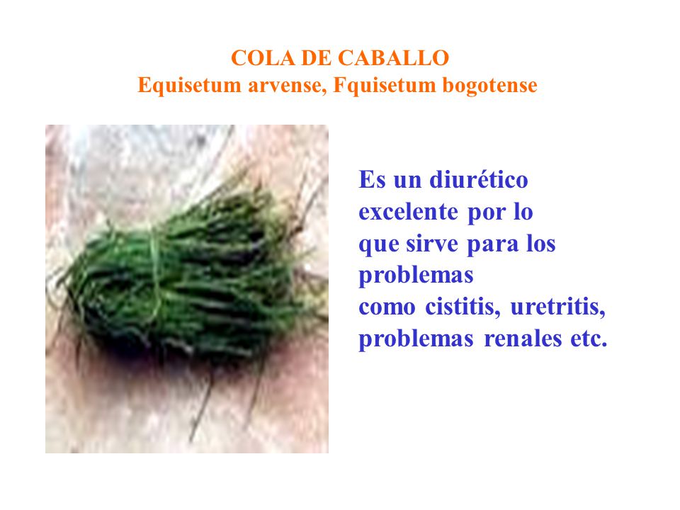 Es un diurético excelente por lo que sirve para los problemas
