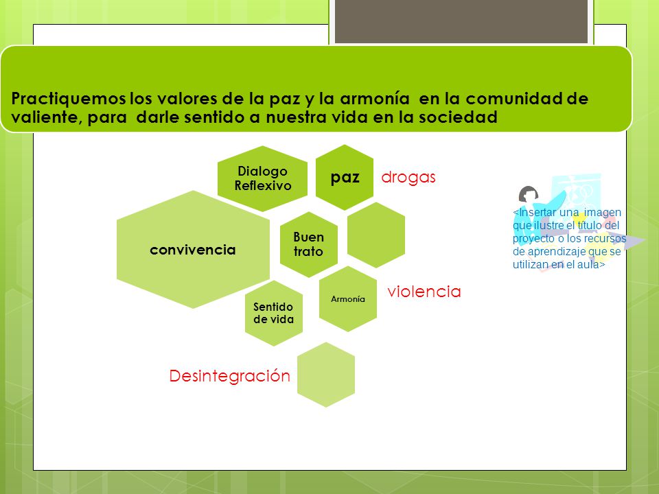 Practiquemos los valores de la paz y la armonía en la comunidad de valiente, para darle sentido a nuestra vida en la sociedad