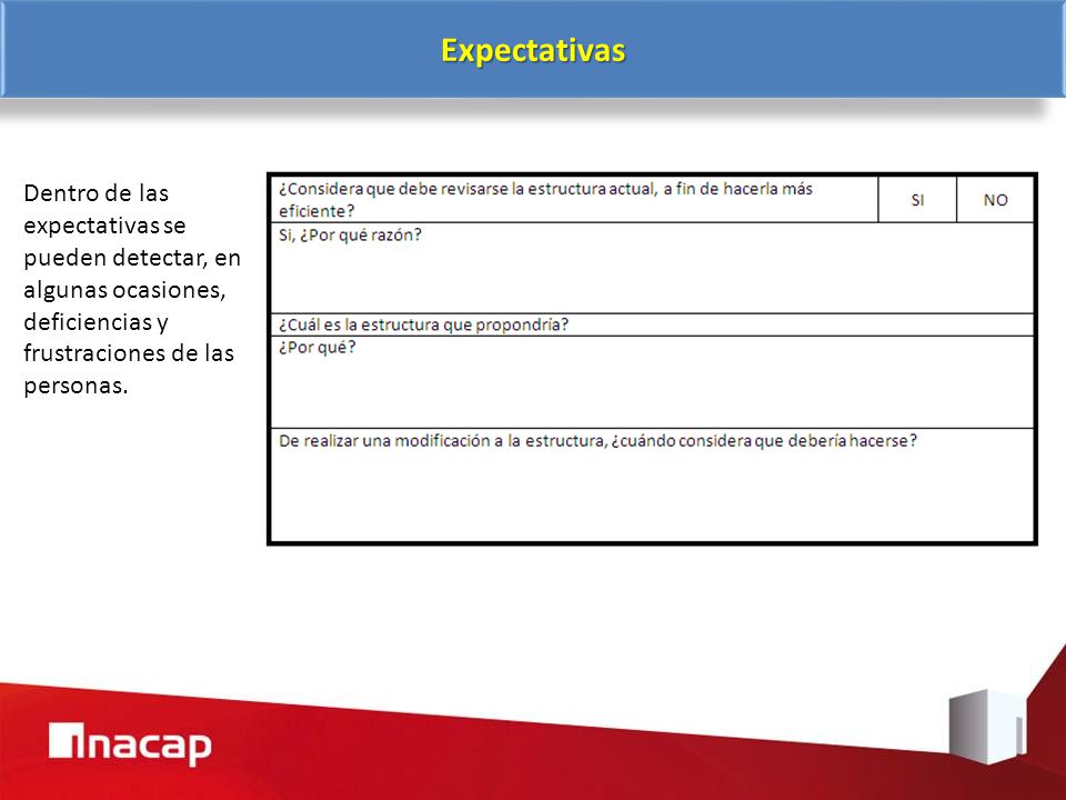 Expectativas Dentro de las expectativas se pueden detectar, en algunas ocasiones, deficiencias y frustraciones de las personas.