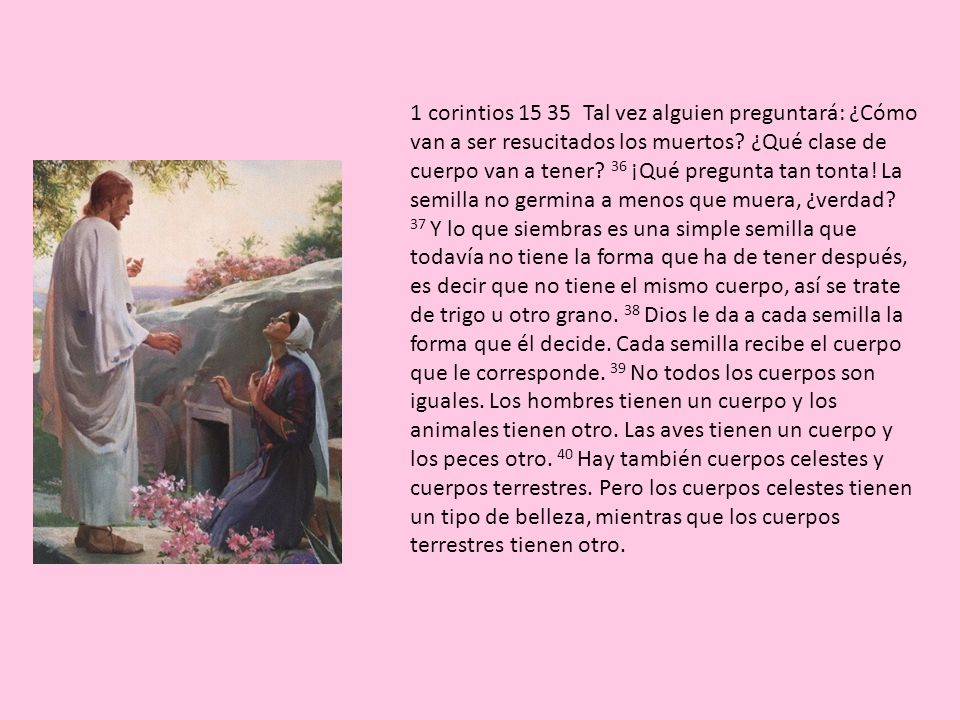 1 corintios Tal vez alguien preguntará: ¿Cómo van a ser resucitados los muertos.