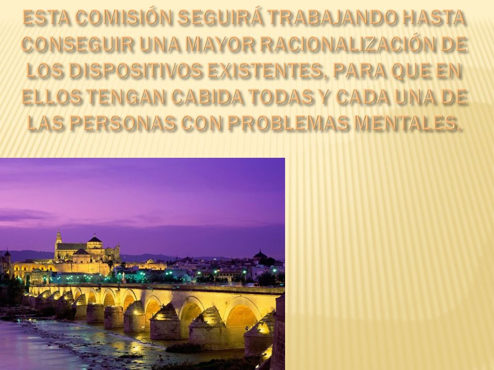 Esta Comisión seguirá trabajando hasta conseguir una mayor racionalización de los dispositivos existentes, para que en ellos tengan cabida todas y cada una de las personas con problemas mentales.