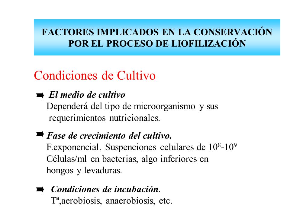FACTORES IMPLICADOS EN LA CONSERVACIÓN POR EL PROCESO DE LIOFILIZACIÓN